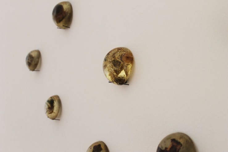 Aurora Paolillo, Residui, 2013